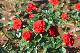 image0153