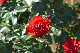 image0154