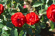 image0155