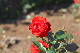 image0156