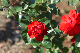image0157
