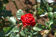 image0158