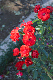 image0159