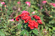 image0160