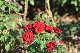 image0162