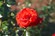 image0164