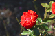 image0166