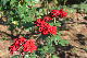 image0167