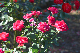 image0168