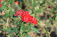 image0169