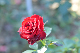 image0170