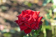 image0171