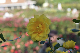 image0172