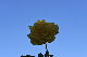 image0173
