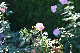 image0174