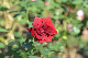 image0175