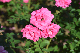 image0176
