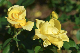 image0178