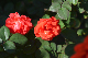 image0179