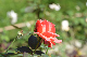 image0180