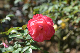 image0182