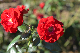 image0183