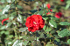 image0184