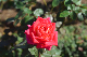 image0186