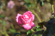 image0188