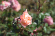 image0189