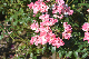 image0190