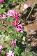 image0191