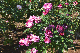 image0192