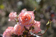 image0194