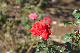 image0198