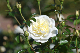 image0201