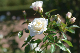 image0202