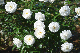 image0203