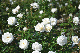 image0204