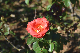 image0210