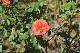 image0211