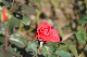 image0214