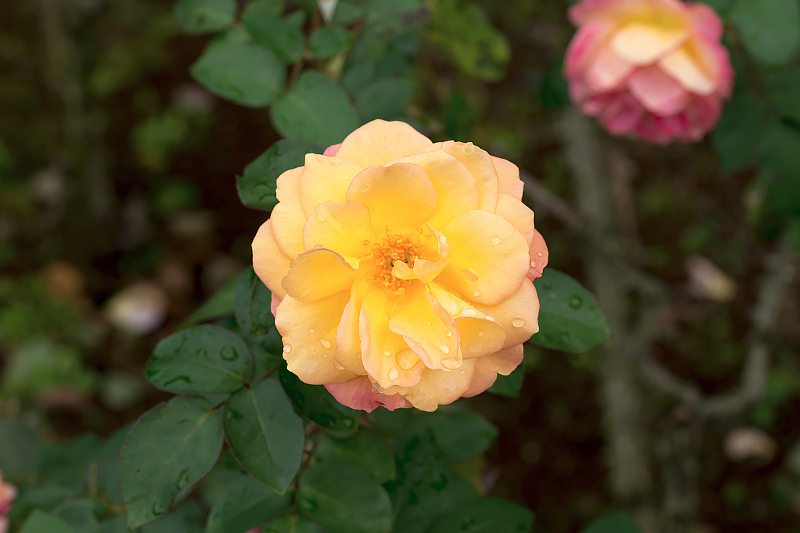 image0152