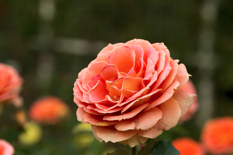 image0507