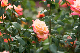 image0401