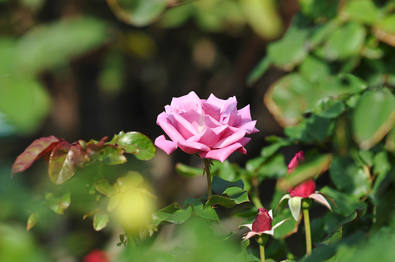 image0109