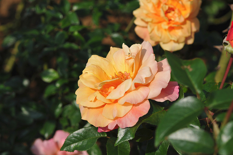 image0127