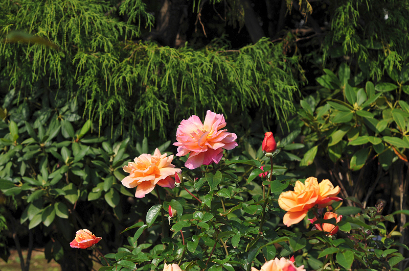 image0130