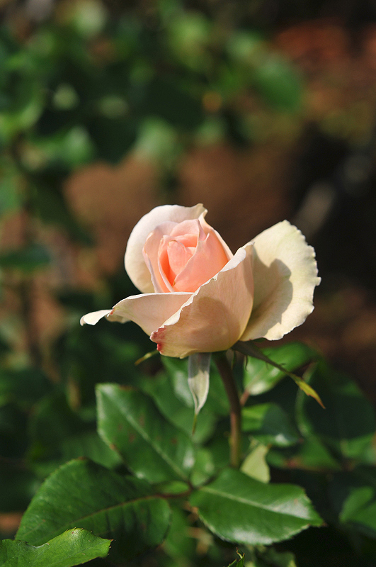 image0134