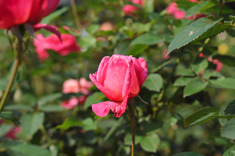 image0157